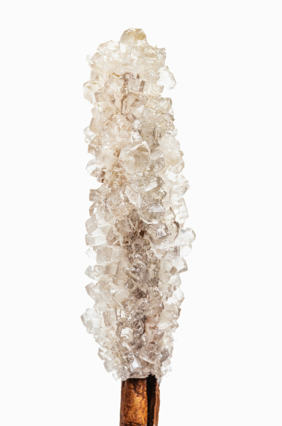 Sand Fog Vanilla Sugar 100 ml Eau de Toilette - Image 2