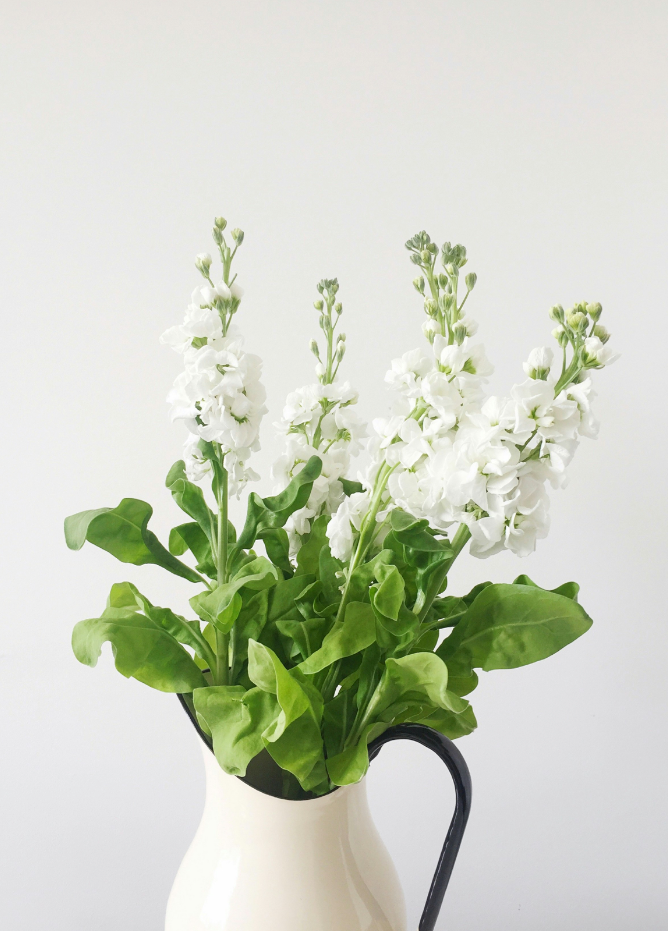 Sand Fog White Flowers 21 oz scented candle - Image 2